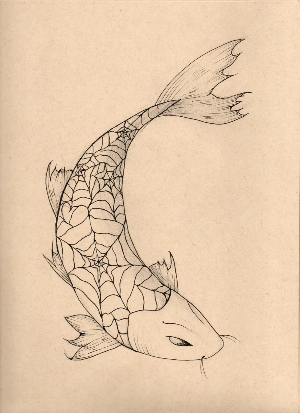 Koi fish